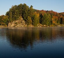 Bright and Sunny Fall Reflections by Georgia Mizuleva