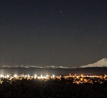 Moonlight over Redmond by Richard Bozarth