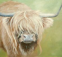 Hairy coo (cow) in grass by Carole Russell