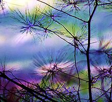 Glistening Needles by Polly Peacock