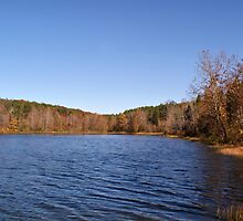 Celina Lake by Sandy Keeton