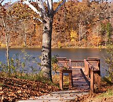 Celina Lake Path by Sandy Keeton