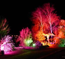 Illumination by Kay Evison