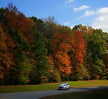 New GMC Arcadia SUV Driving through the fall foliage on the Natchez Trace Nashville by Daniel Oyvetsky
