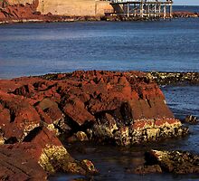 Merimbula Wharf by Darren Stones