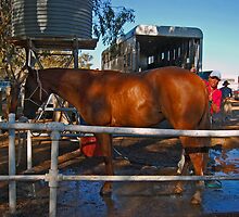 48th Picnic Race Meeting, Warri Racecourse, Ardlethan by Shutterbug
