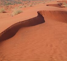 Sandhill,Madigan Line Simpson Desert by Joe Mortelliti