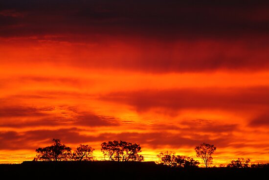 Firey Sunrise Batton Hill North Simpson Desert by Joe Mortelliti