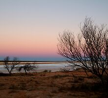 Salt Pan, Simpson Desert, S.A. by Joe Mortelliti
