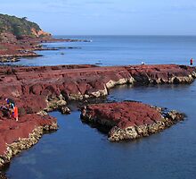 Merimbula Long Point by Darren Stones