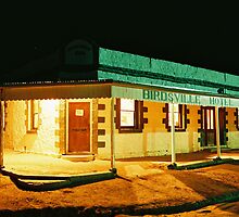 Birdsville Hotel, Birdsville Qld by Renee Driscoll