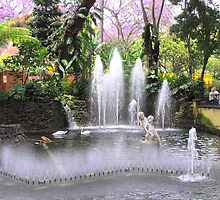 PARKS IN PORTUGAL by webgrrl