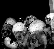 ..to the victims of the Khmer Rouge.. by Murray Newham