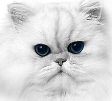 Casper by Mary Broome