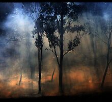 Dying Embers by Bryant Evans