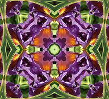 Violet Crumble by ArtProphet
