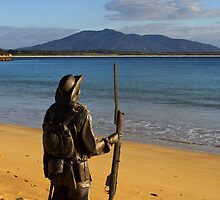 Horseshoe Bay at Bermagui by Darren Stones