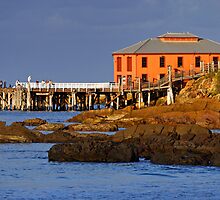 Tathra Wharf by Darren Stones