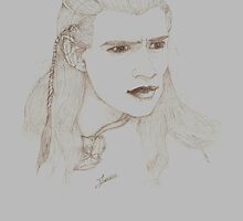 Legolas by celeste duminy