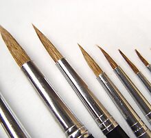 Brushes by shane22