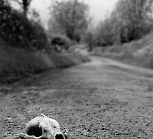 Dead End by Harvey Smith