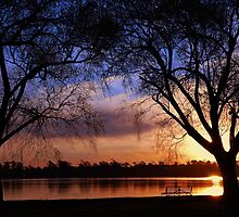 Reminiscing by Sue Wilson (Kane)