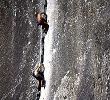 No Rope Needed! by Bill Serniuk