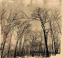 After the Fire 3 by Marita