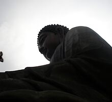 Buddha and Bird by zerogeewhiz