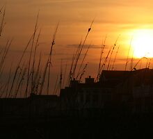 Winter Sunset by Gary L Suddath