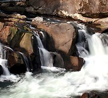 The Sinks by Gary L Suddath