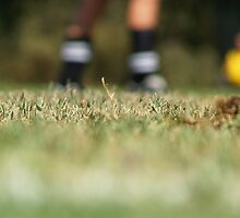 On the Pitch by Kara Rountree
