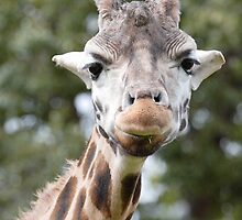 What are you looking at? by EOS20
