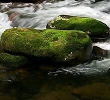 Pristine Waters by Gary L Suddath