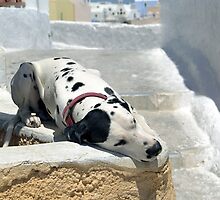 Siesta by joggi2002