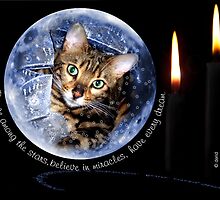 Zen in a Snow Globe by quin10