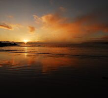 Morning Promise by Sue Wickham