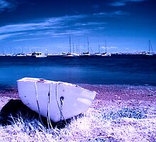 Blue Bay by Naomi Frost