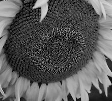 A Little Nod by Kathleen Struckle