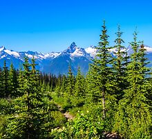 Rocky mountain Meadows by RevelstokeImage
