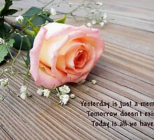 Yesterday is a Memory by Maria Dryfhout