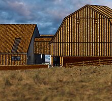 The Golden Barn by Deri Dority