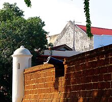 The Ancient Cannon - Melaka, Malaysia. by Tiffany Lenoir