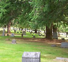 cemetery by michael griffith