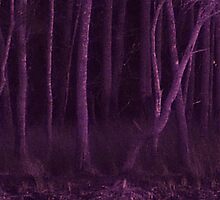 Hallowed Trees by Beccaboo