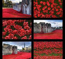 Poppies at the Tower collage by Chris Day