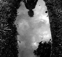Parallel World by Kitsmumma