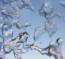 Frozen Blue by cshphotos