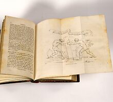 Foldout from a Treatise On Painting by Publication In The Moment