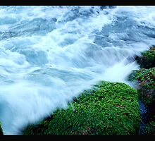 Engulfed by Craig Shadbolt